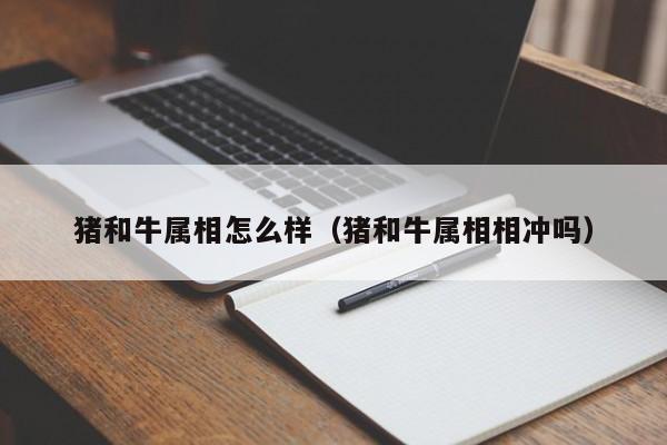 猪和牛属相怎么样（猪和牛属相相冲吗）
