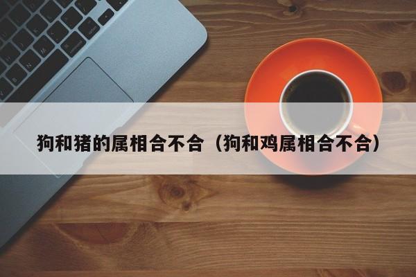 狗和猪的属相合不合（狗和鸡属相合不合）