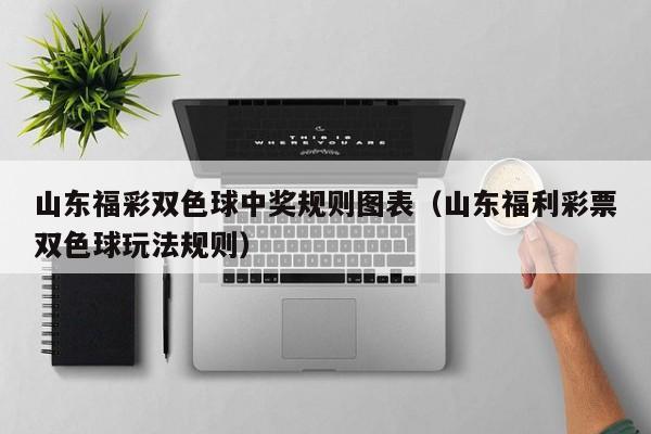山东福彩双色球中奖规则图表（山东福利彩票双色球玩法规则）