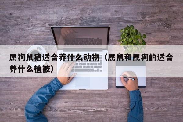 属狗鼠猪适合养什么动物（属鼠和属狗的适合养什么植被）
